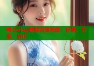 糖心vlog破解百度网盘：存储、分享、协作