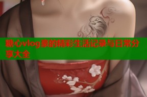 糖心vlog豪的精彩生活记录与日常分享大全